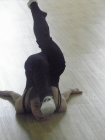 PC100659 Picture Gallery 165 694 Image