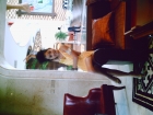 Photo Album and Picture Gallery 850 886 Image