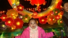 Photo Album and Picture Gallery 971 1012 Image