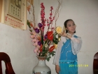 Photo Album and Picture Gallery 68 1134 Image