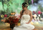 Photo Album and Picture Gallery 1267 1320 Image