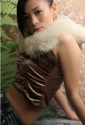 Photo Album and Picture Gallery 1276 1372 Image