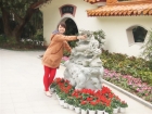 Photo Album and Picture Gallery 1379 1594 Image
