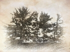 Photo Album and Picture Gallery 831 1652 Image