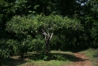 Photo Album and Picture Gallery 1587 2149 Image
