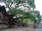 Photo Album and Picture Gallery 1587 2151 Image