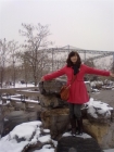 宁波北仑牡丹园的黑天鹅 Picture Gallery 1093 2240 Image