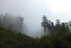 Photo Album and Picture Gallery 1587 2374 Image