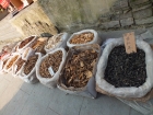 哥哥我的旅游照片 Picture Gallery 1587 2380 Image
