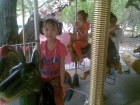 Photo Album and Picture Gallery 1215 2490 Image