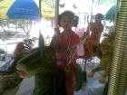 Photo Album and Picture Gallery 1215 2491 Image