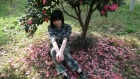 Photo Album and Picture Gallery 1861 2663 Image