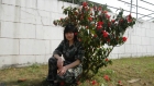 Photo Album and Picture Gallery 1861 2664 Image
