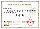 北京市中小学艺术节个人竞赛舞蹈组独舞项目 失望的三等奖