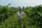 Photo Album and Picture Gallery 1587 3262 Image